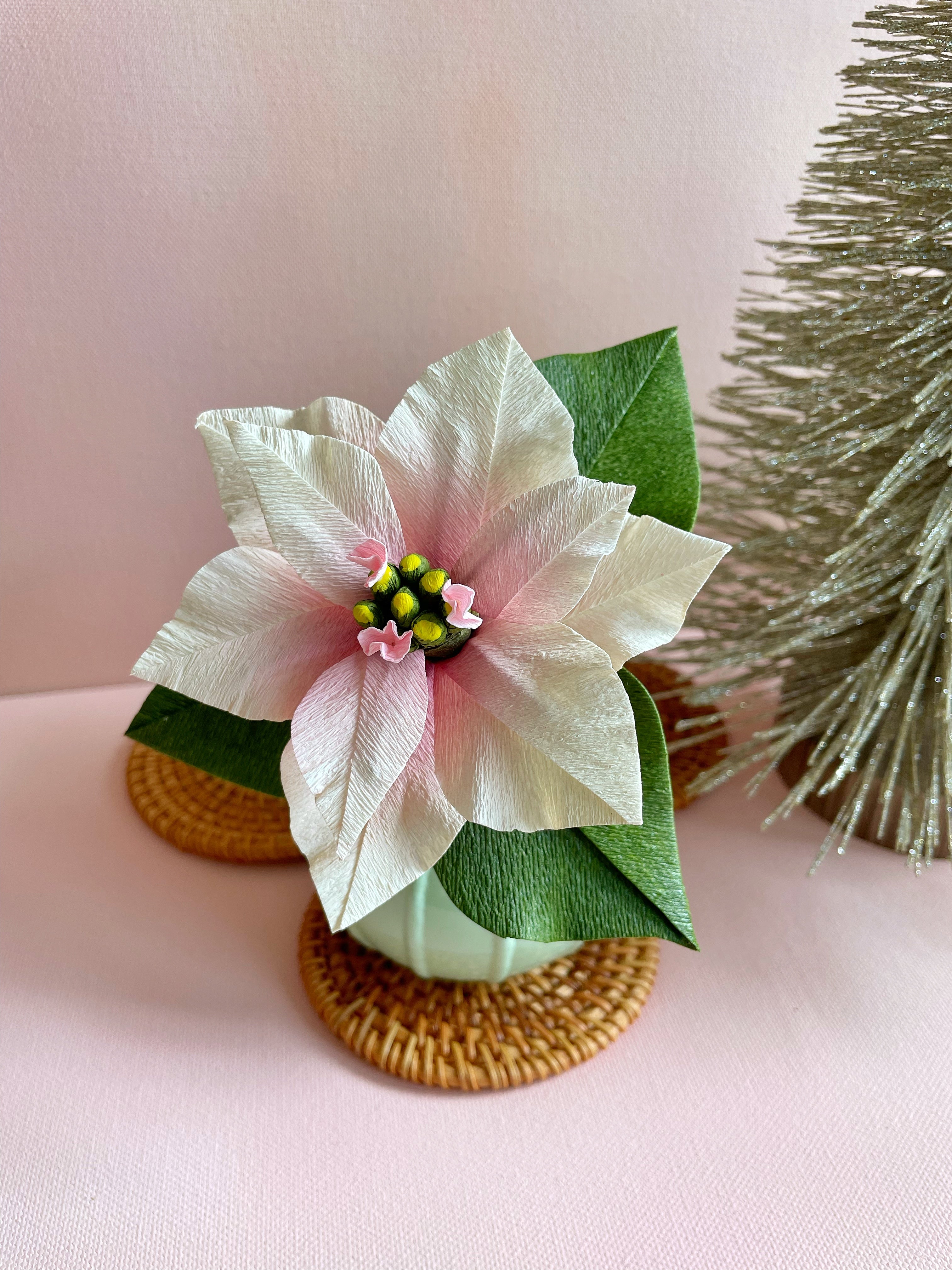 Holiday 2025 Collection