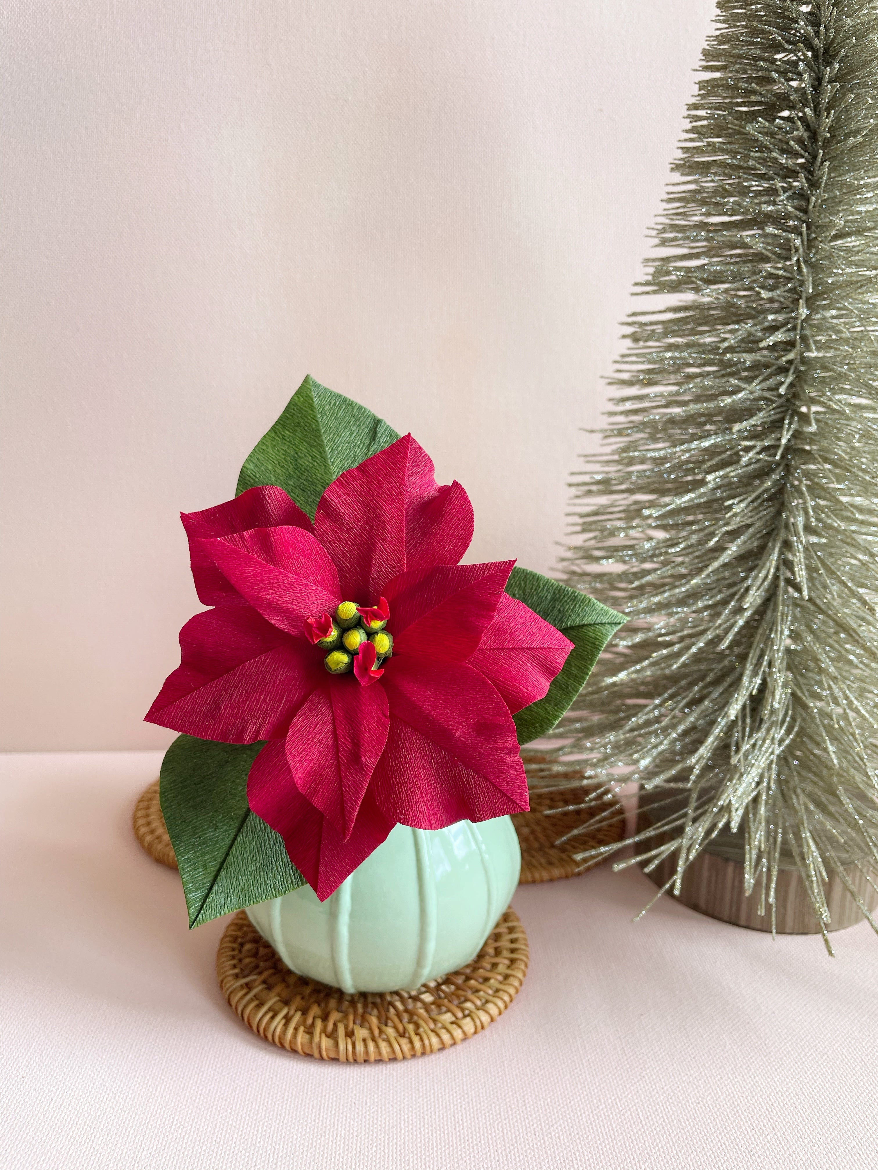 Mini Red Poinsettia