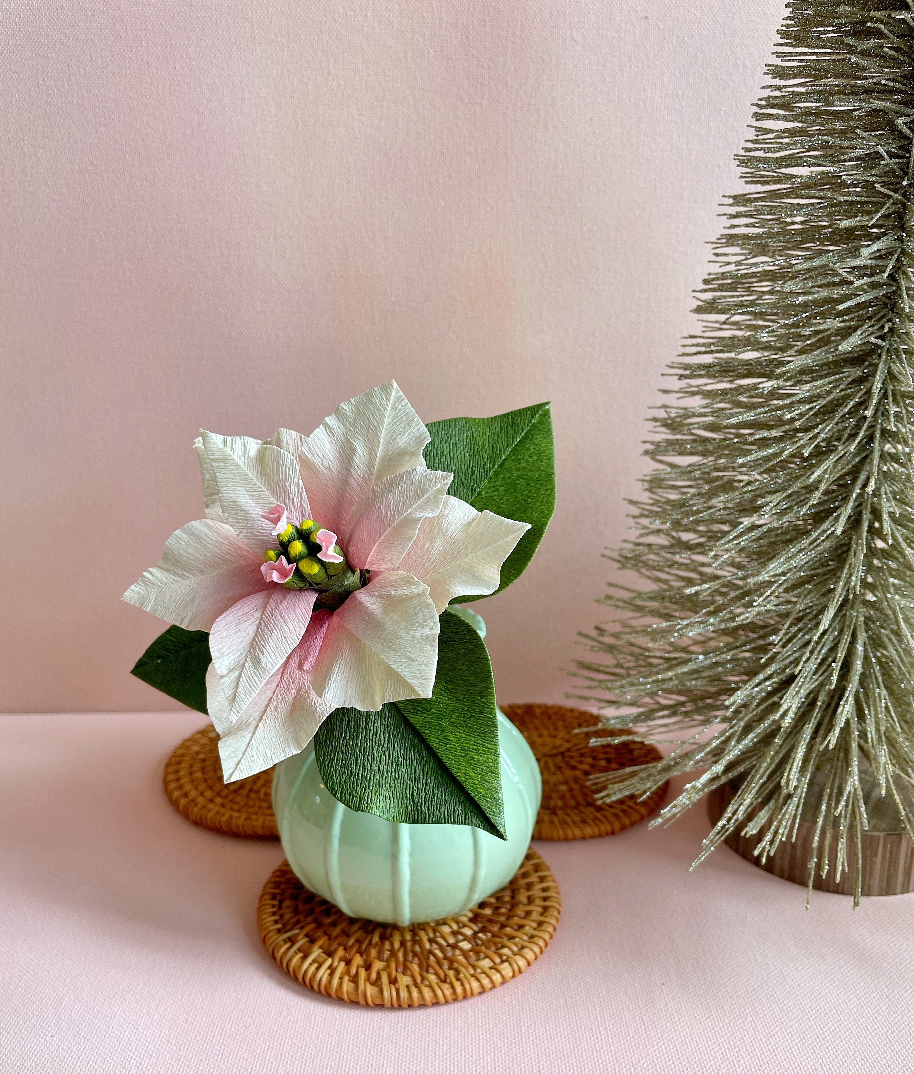 Mini Pink Poinsettia